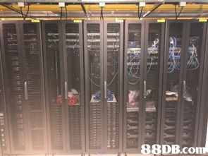 香港網絡工程服務全面解析 從設計與維修到無線網絡與系統支援